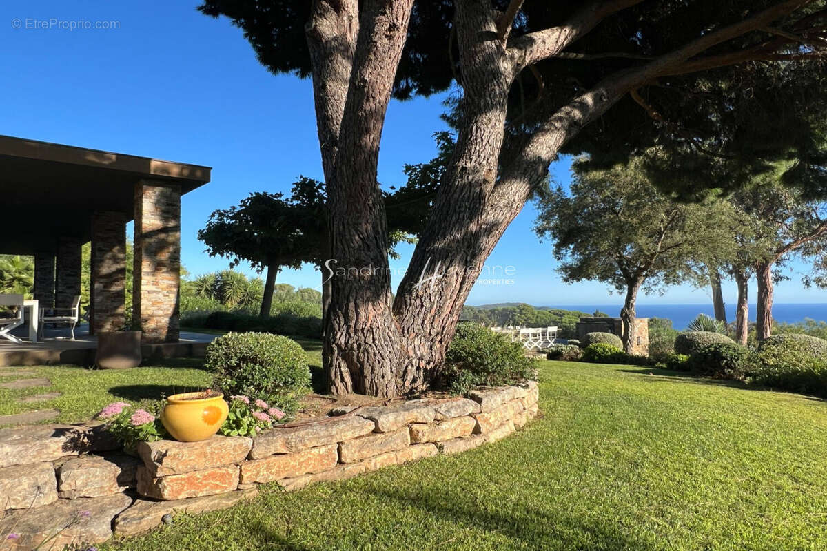 Maison à LA CROIX-VALMER