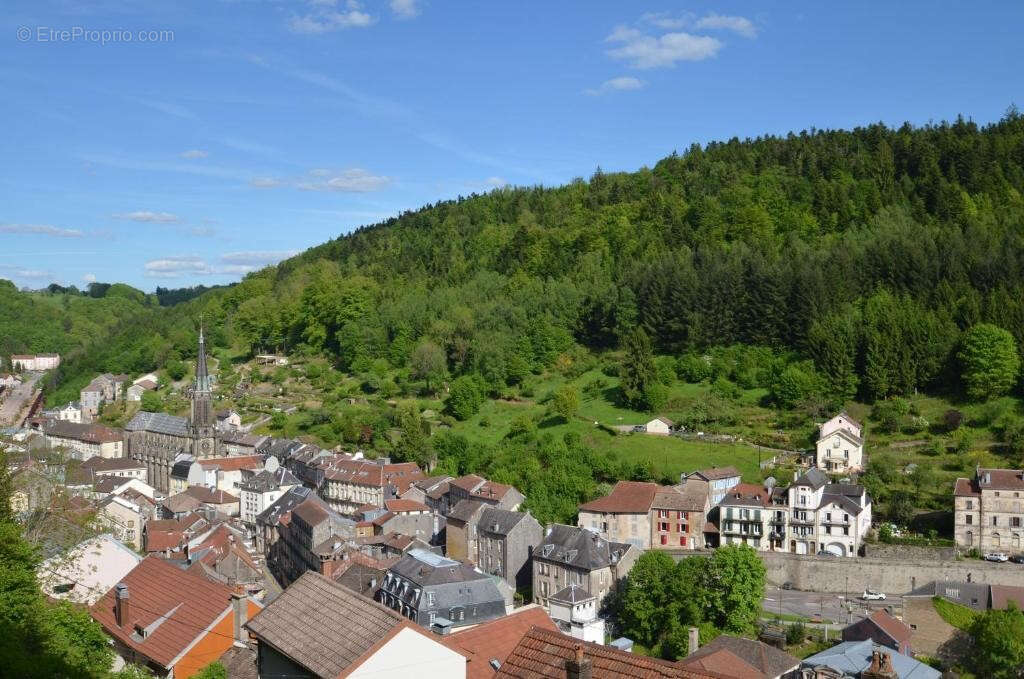 Appartement à PLOMBIERES-LES-BAINS