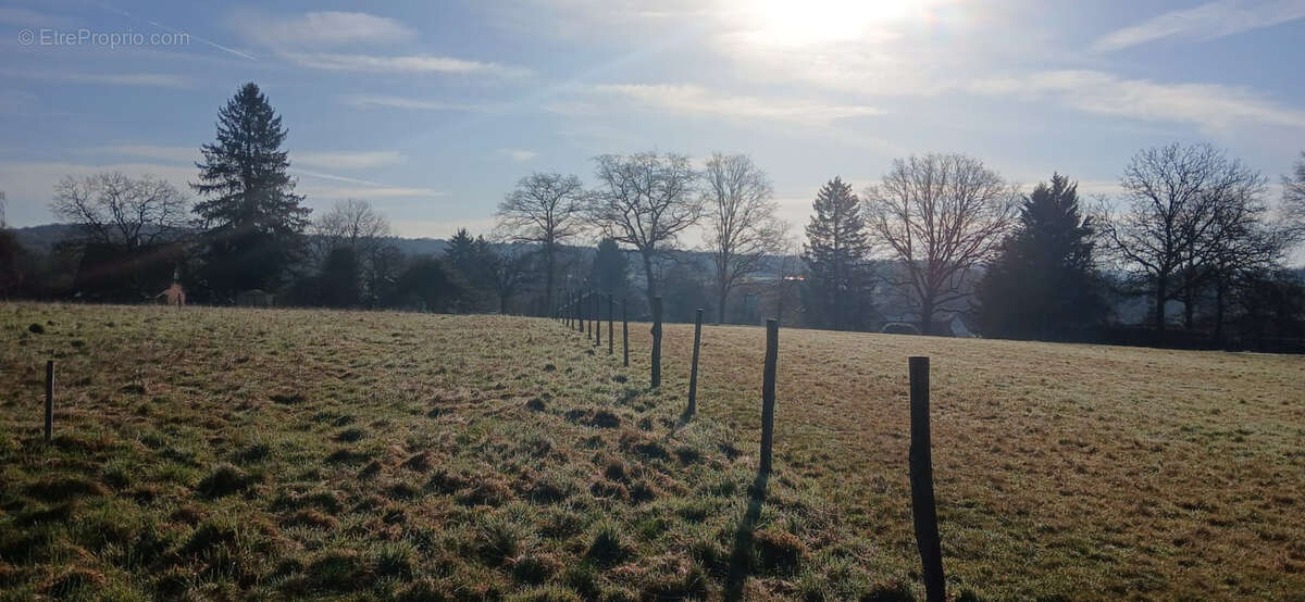 Terrain à ANGEOT