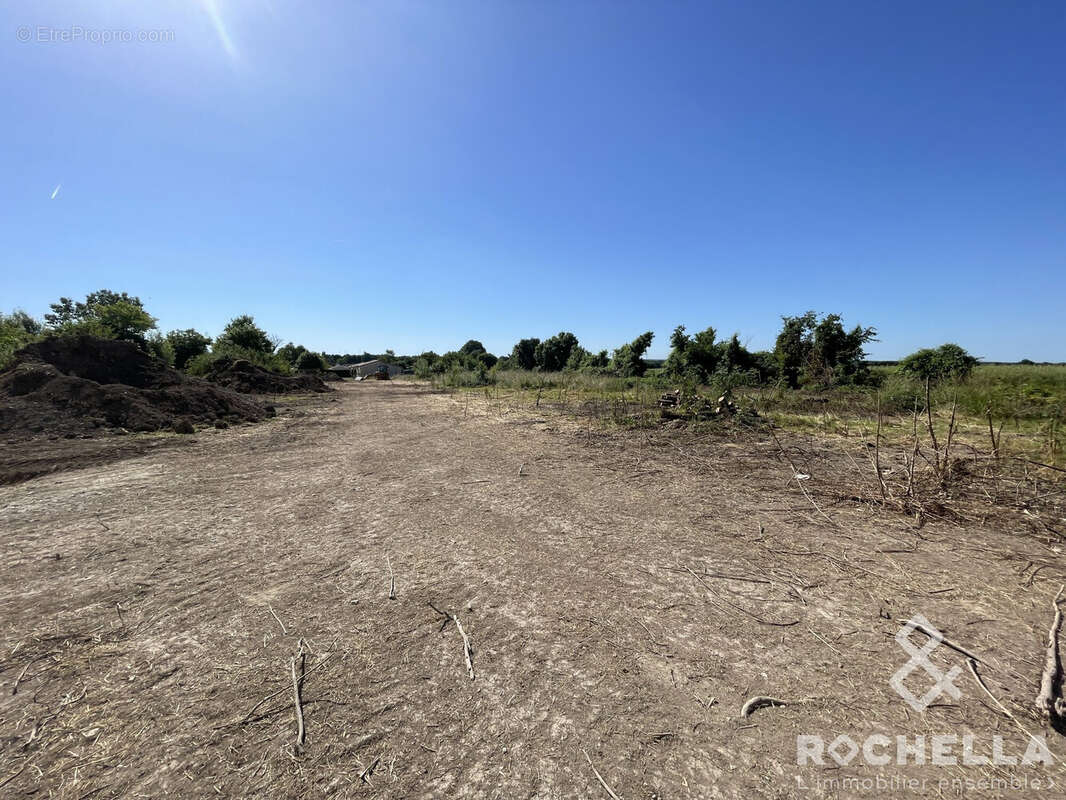 Terrain à SAINT-CREPIN