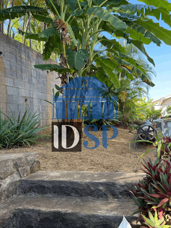 Maison avec piscine à la Plaine St Paul - photo 8