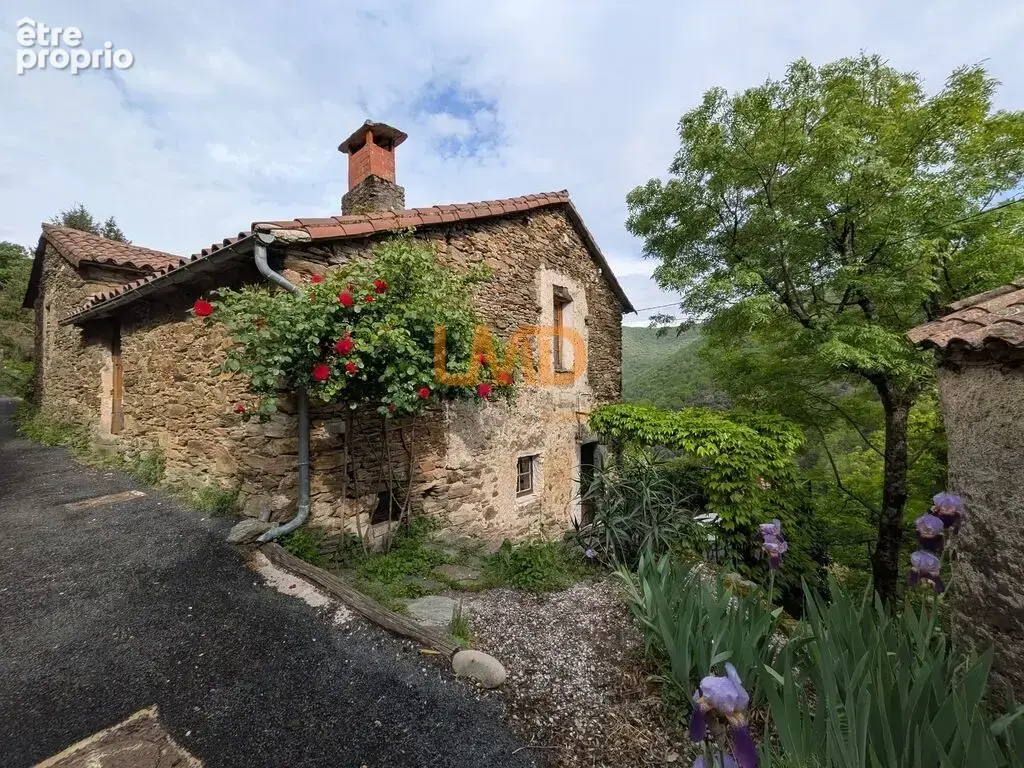 Maison de caractère au cœur des Cévennes - photo 20