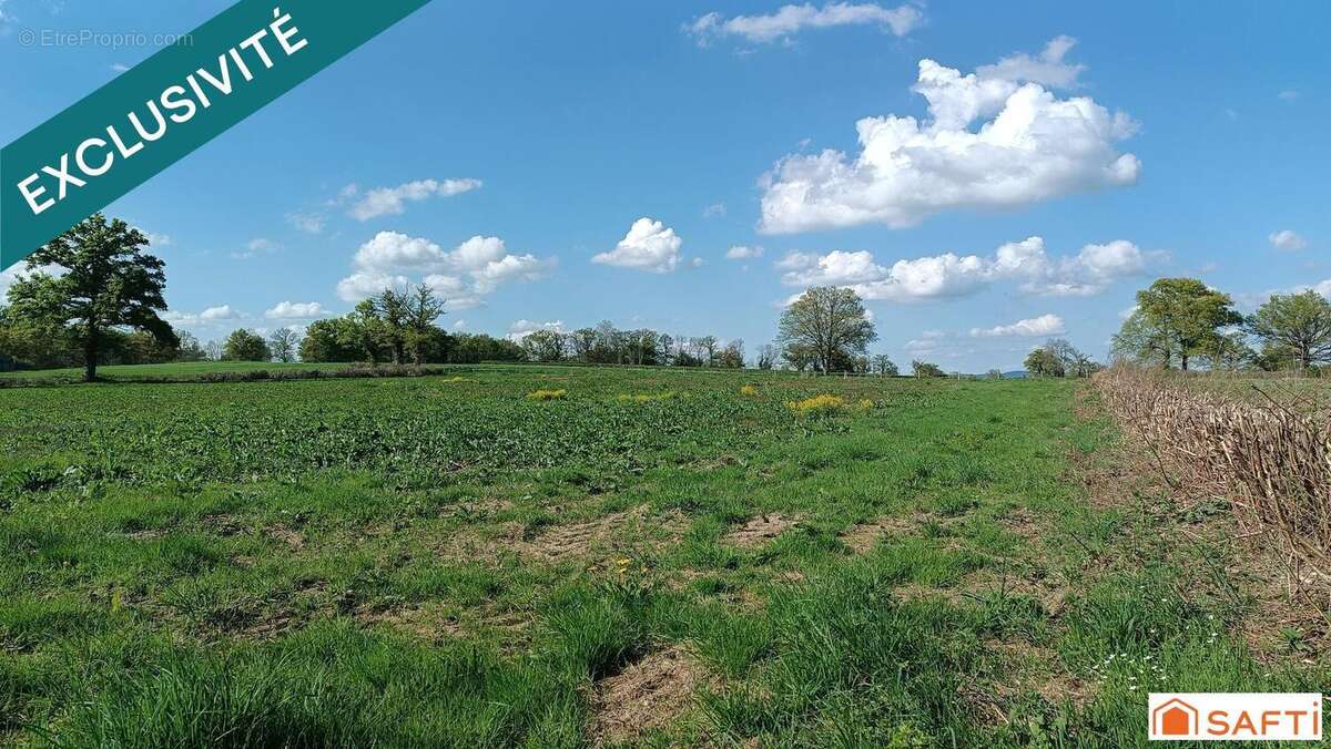 Photo 2 - Terrain à SAINT-DIZIER-LA-TOUR