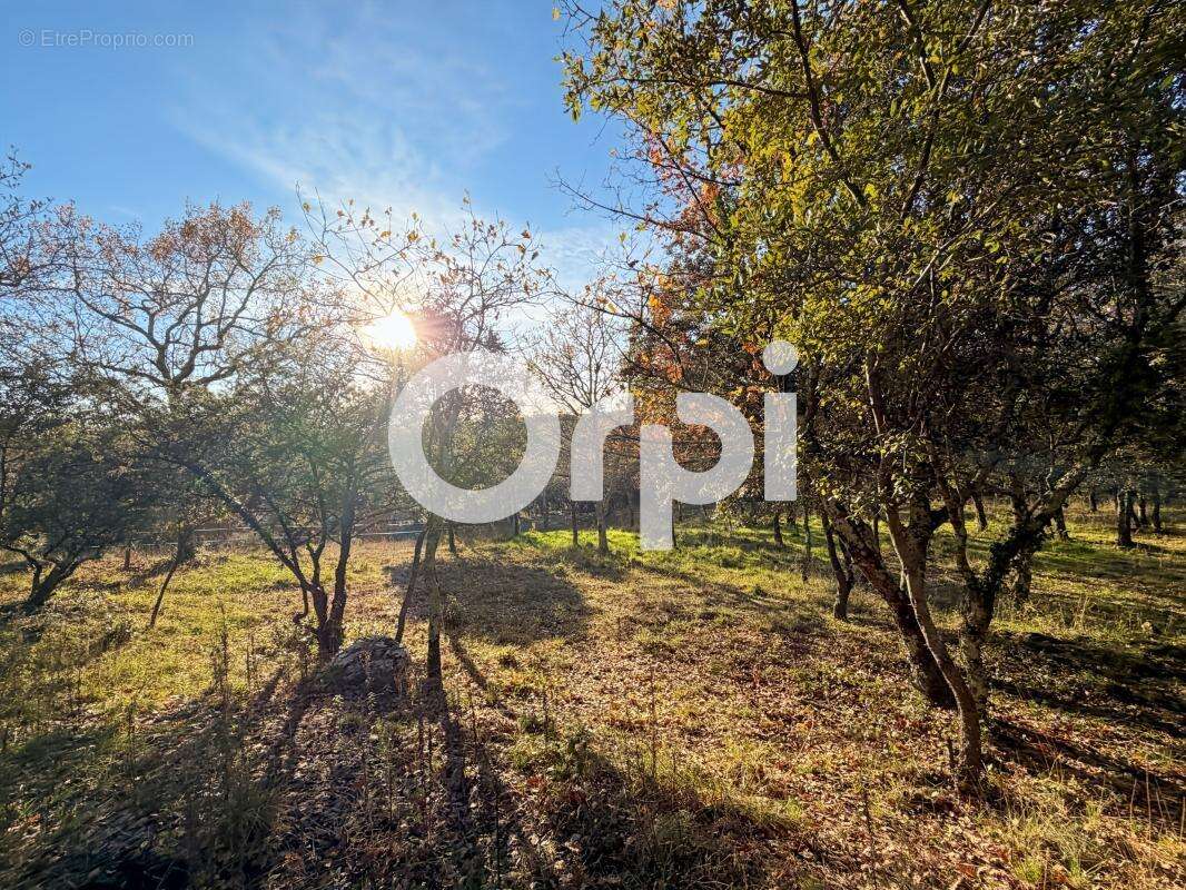 Terrain à VALLON-PONT-D'ARC