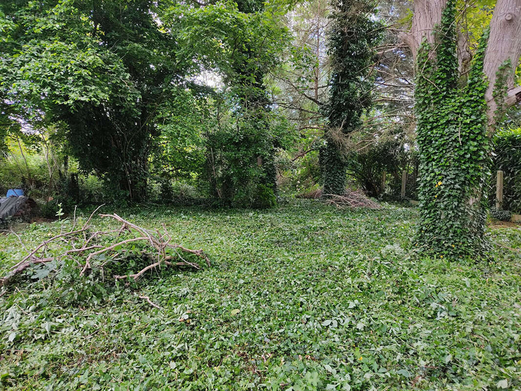 Terrain à DANNEMOIS
