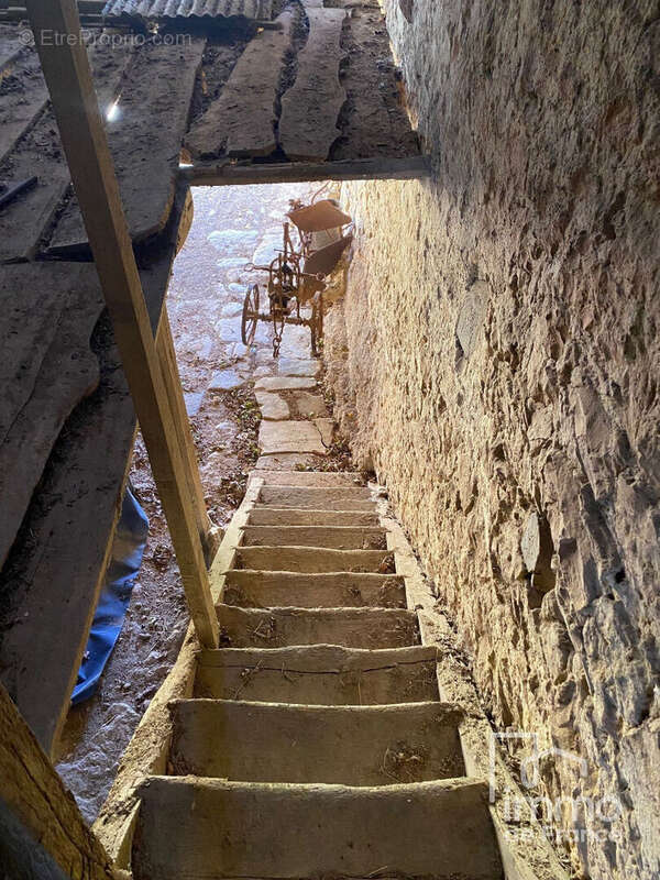 Maison à MONTAGNA-LE-TEMPLIER