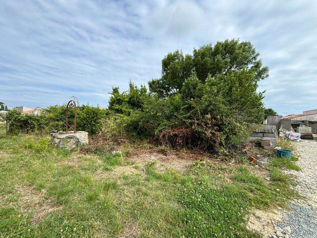 Terrain à SAINT-GEORGES-D&#039;OLERON