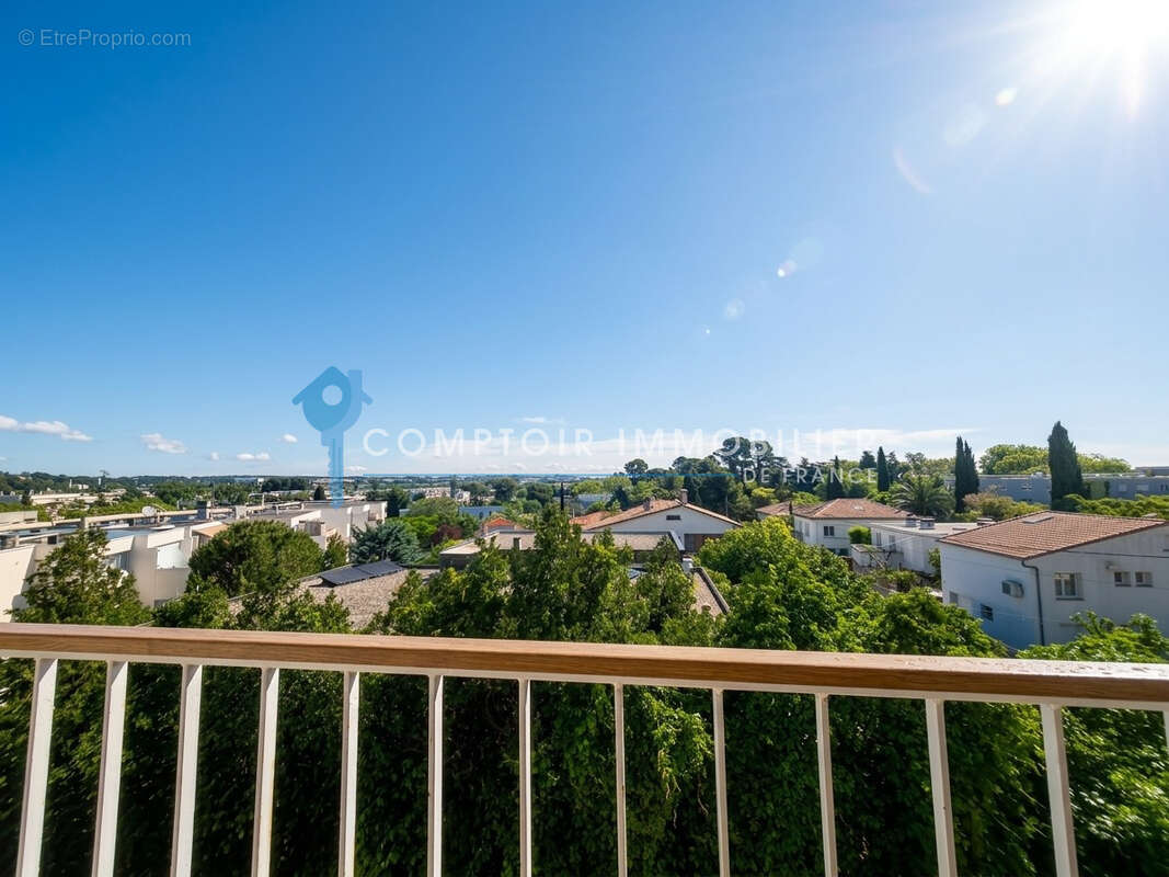 Dépt Hérault (34), à vendre MONTPELLIER Appartement T1 de 25m2 - Cave - photo 2