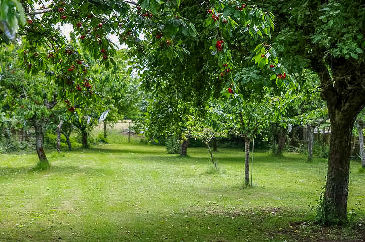 Maison à FONTCOUVERTE