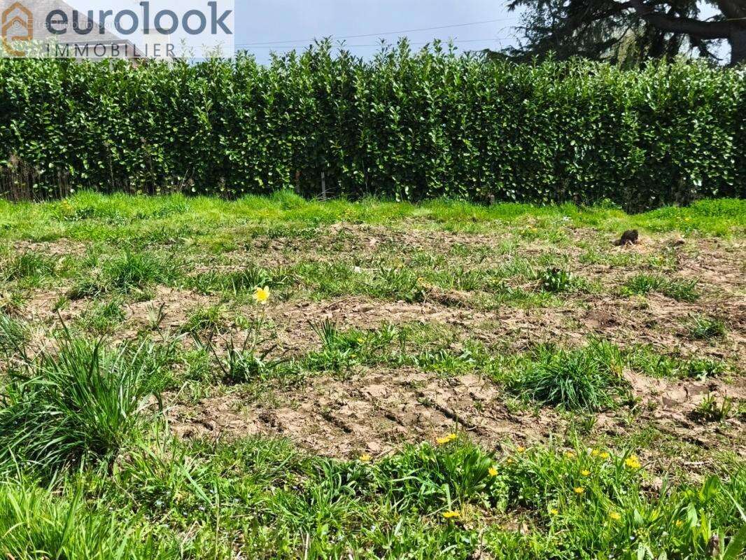 Terrain à MISSIRIAC