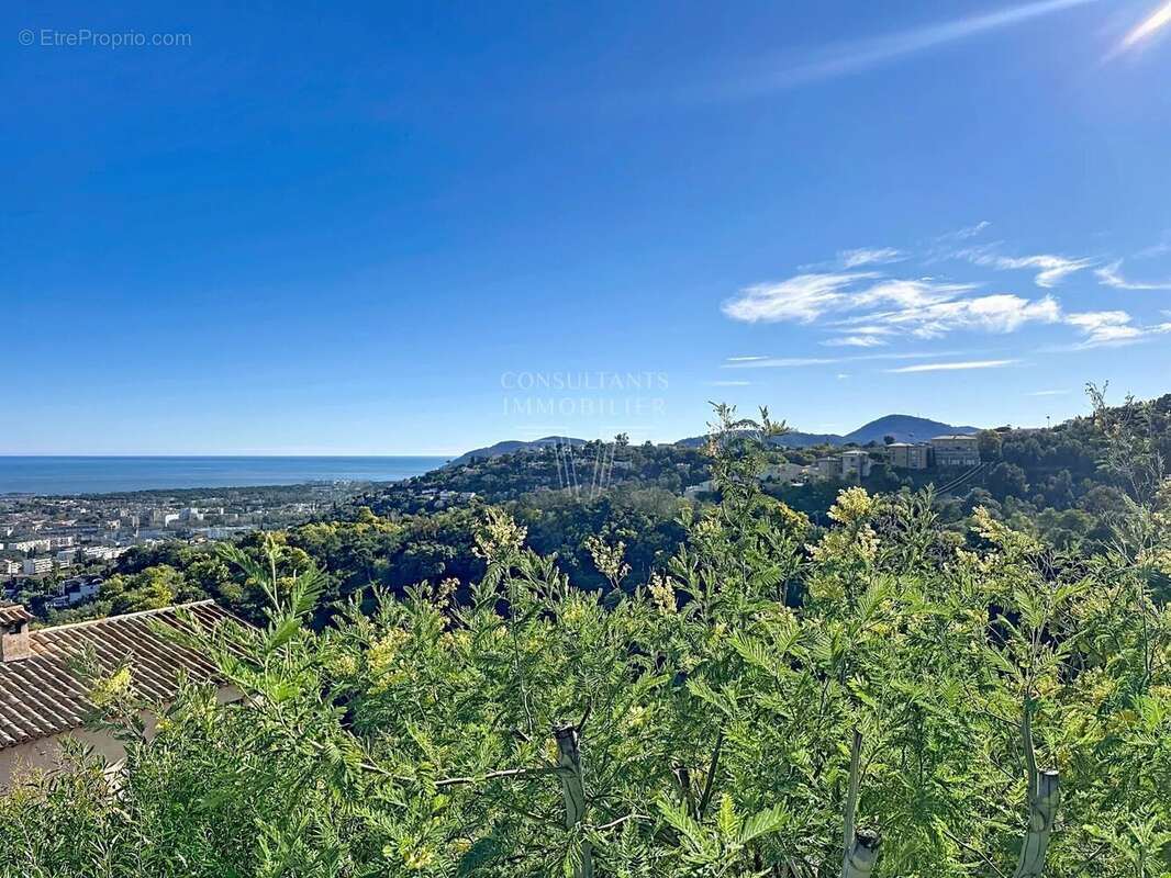 Maison à MANDELIEU-LA-NAPOULE