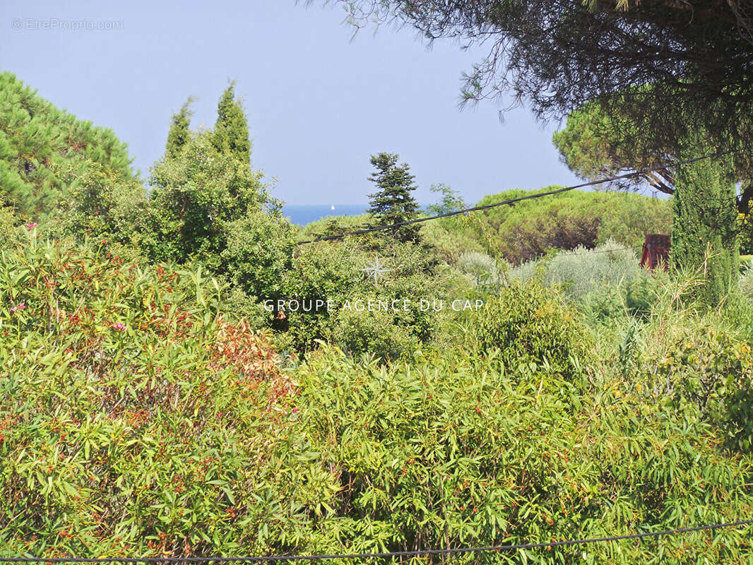 Terrain à SAINTE-MAXIME