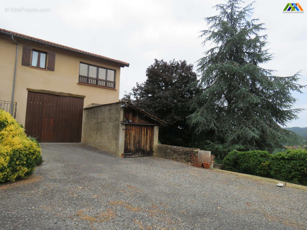 Maison 315 m² à Castelnau-Magnoac  - photo 7