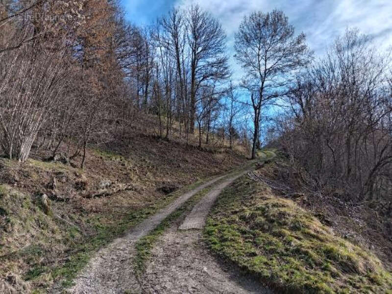 Terrain à CASTILLON-EN-COUSERANS