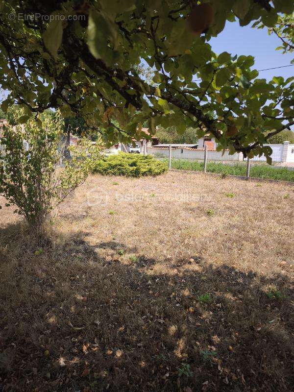 Terrain constructible - photo 2