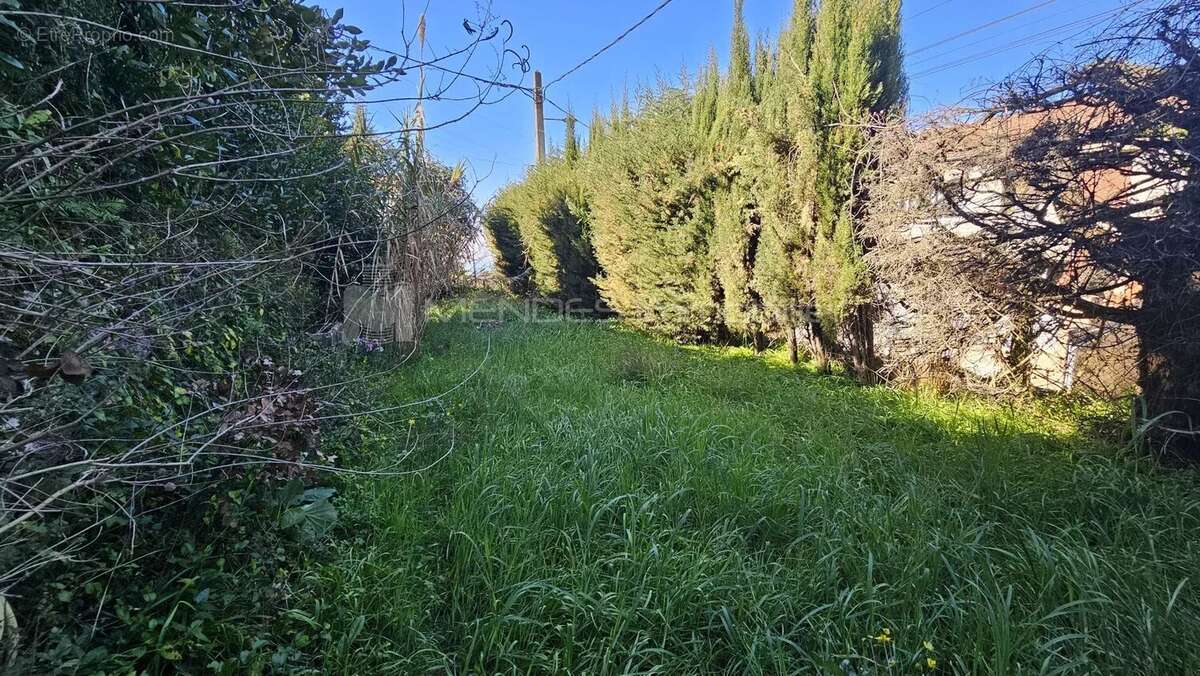 Villa proche du village de la turbie - photo 28