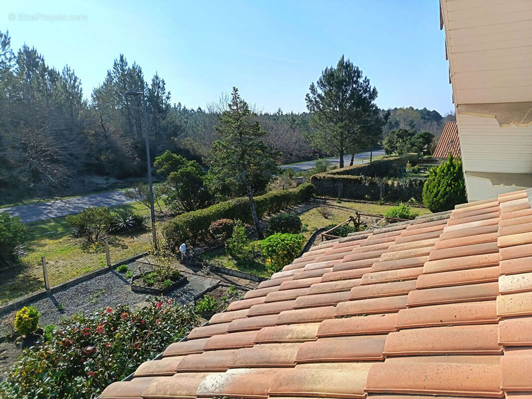 Maison à SAINT-JULIEN-EN-BORN
