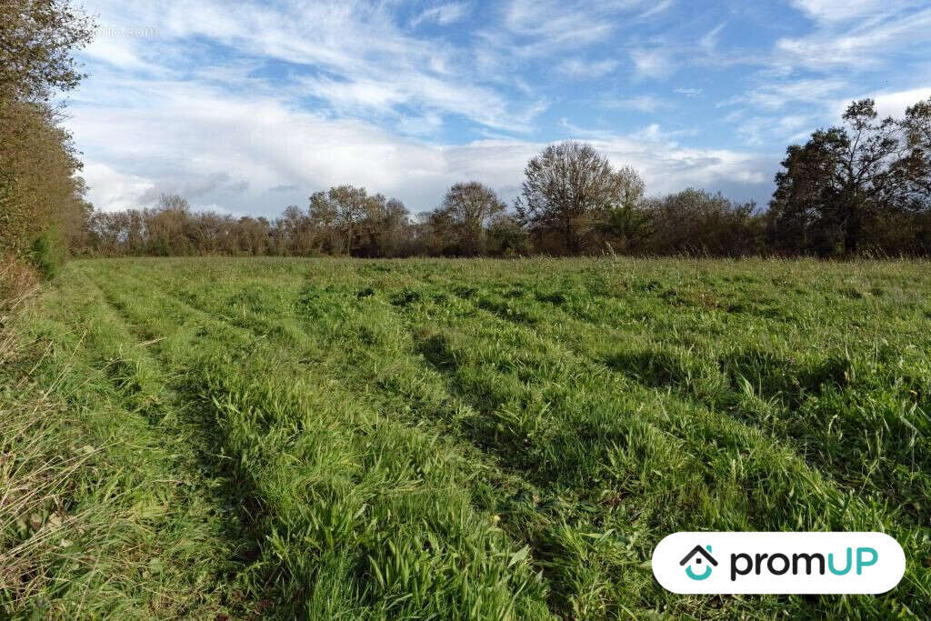Terrain à LOQUEFFRET