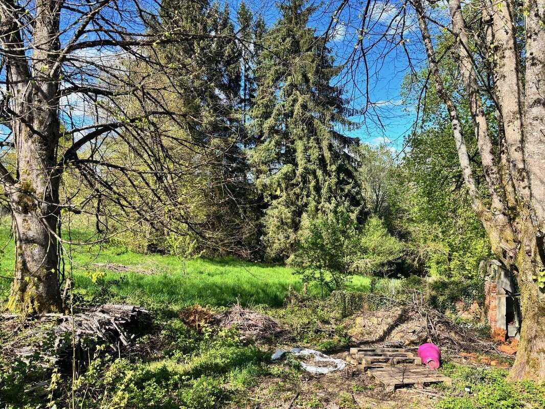 Maison - 4 chambres, Jardin 14,840 m2 - photo 5