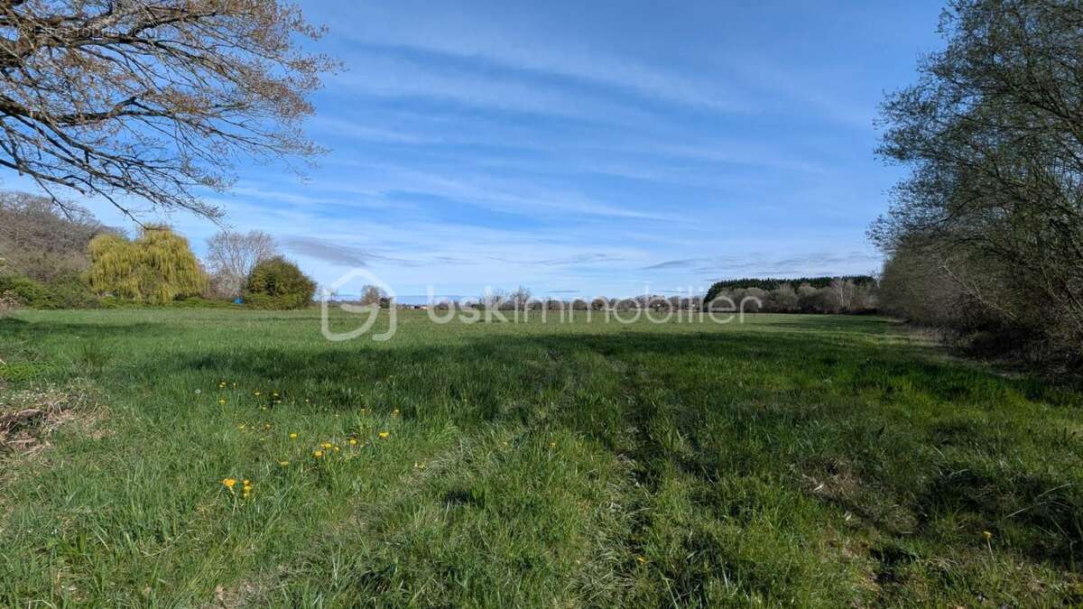 Terrain à MORLAAS