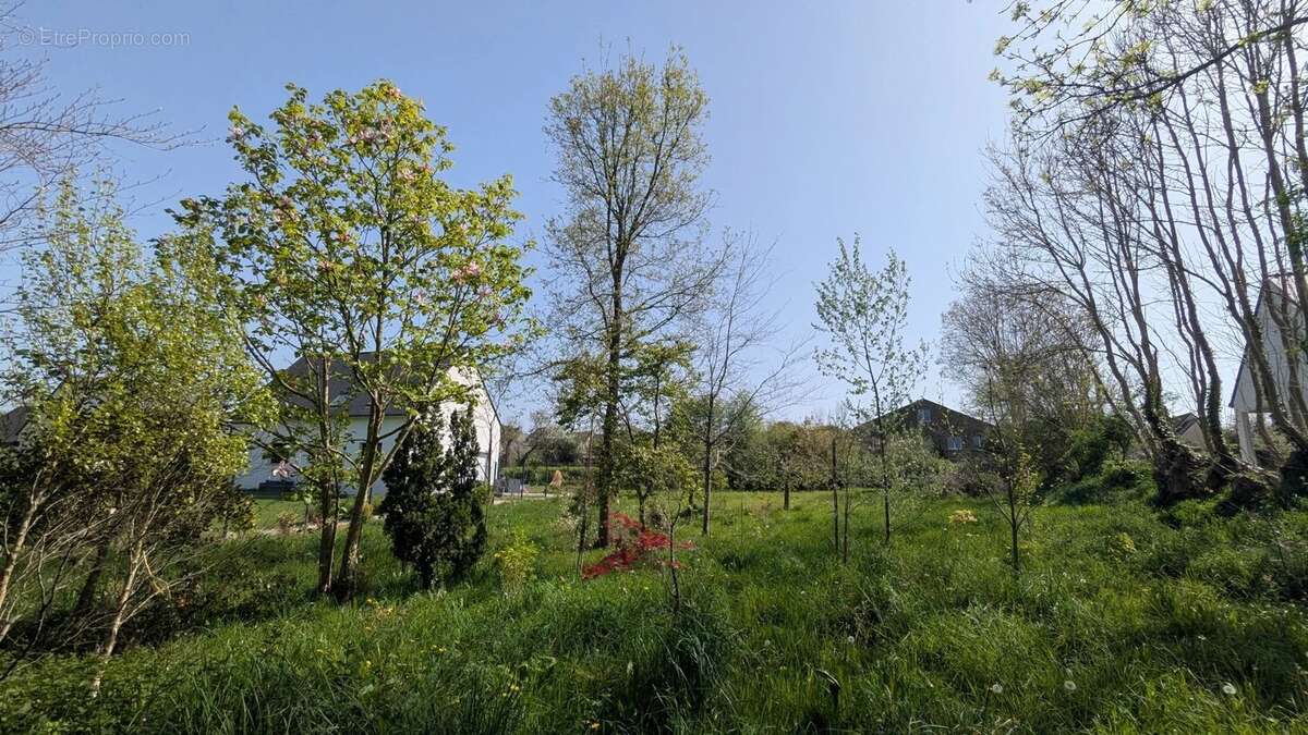 Terrain à PLOMODIERN