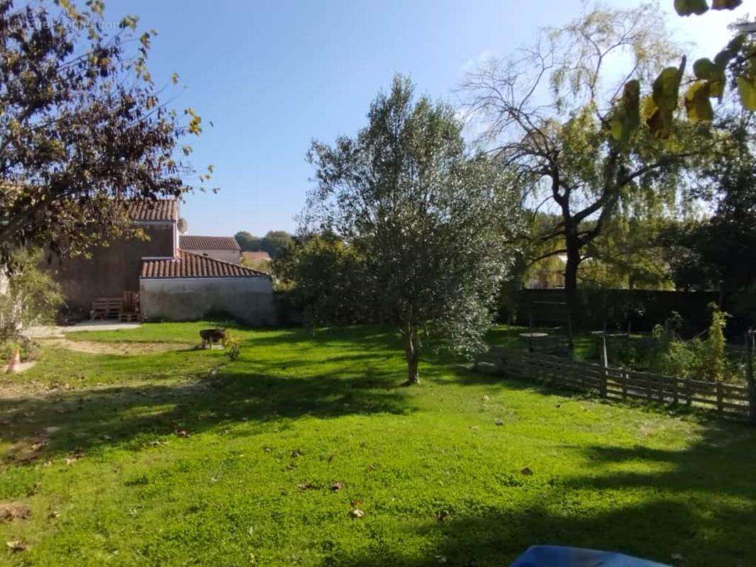 Aubigny-Les Clouzeaux, Maison en pierre dans le bourg 4 chambres avec jardin env. 800 m² - photo 6