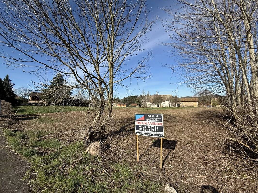 Terrain à LA CLAYETTE