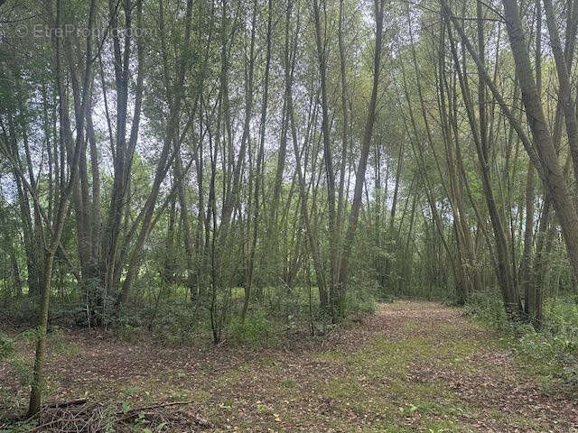 Terrain à SAINTE-HERMINE