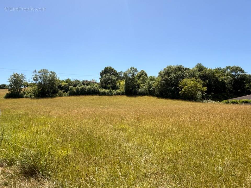 Terrain à AURIAC-SUR-VENDINELLE