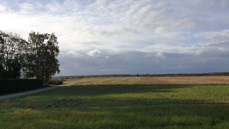 Terrain à VERNOU-LA-CELLE-SUR-SEINE