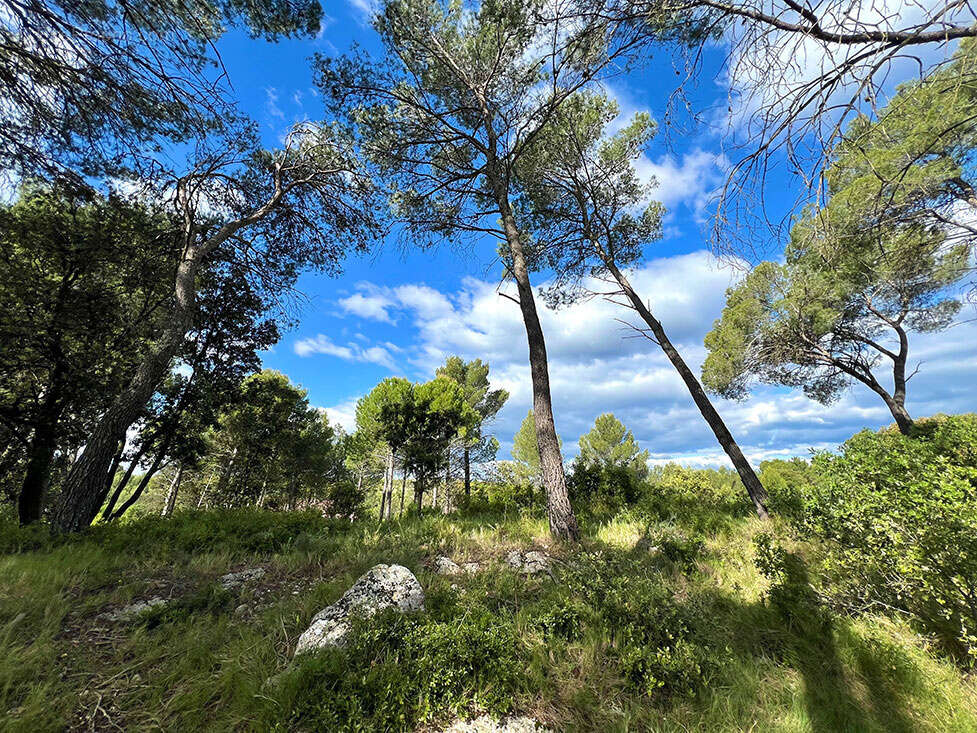 Terrain constructible et viabilise 450m2 - photo 2