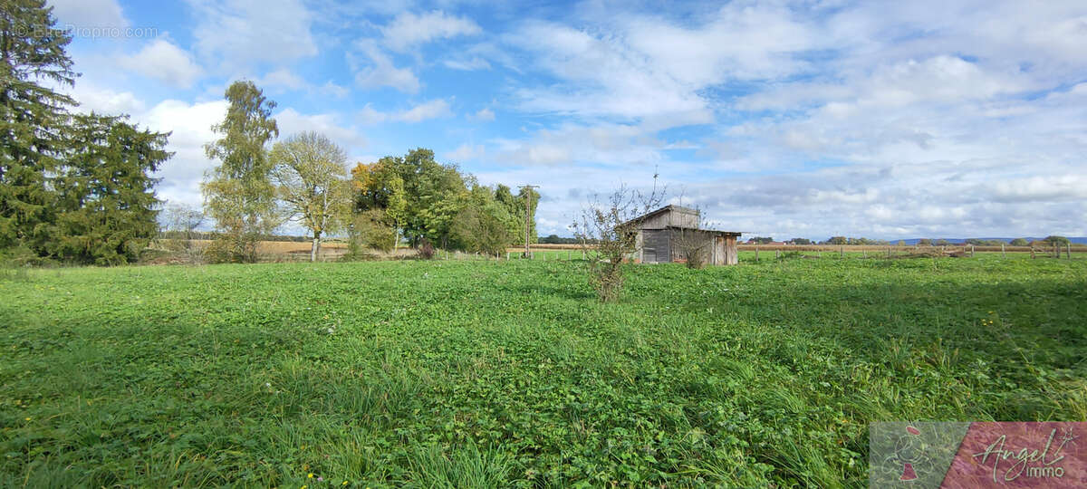 Terrain à VILLERS-LES-BOIS