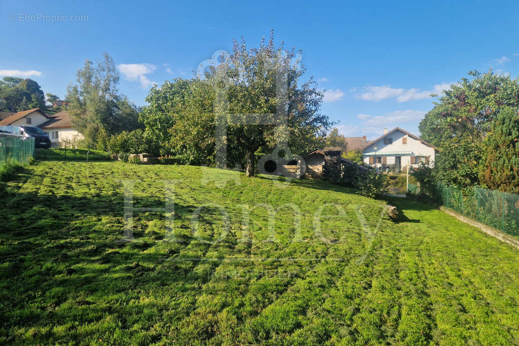 Terrain à SCIEZ