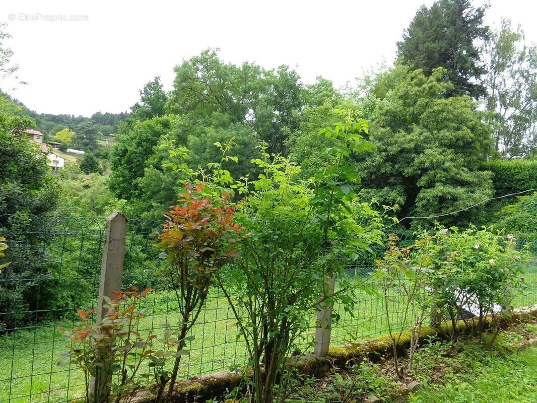 Maison à CHAMBOST-ALLIERES