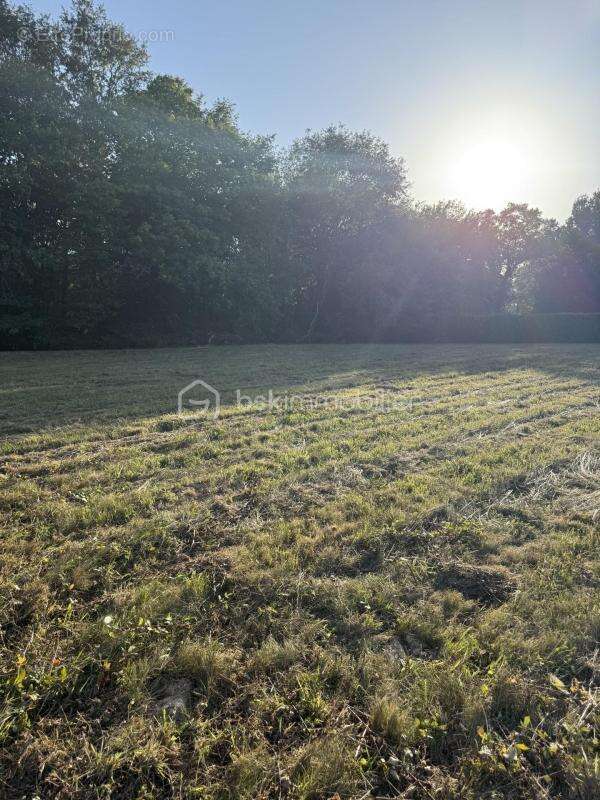superbe terrain constructible plat - photo 3