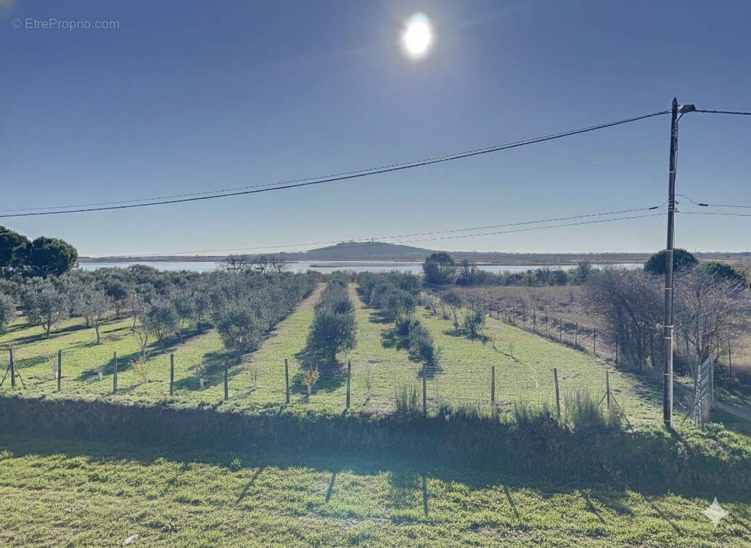 Maison à MARSEILLAN