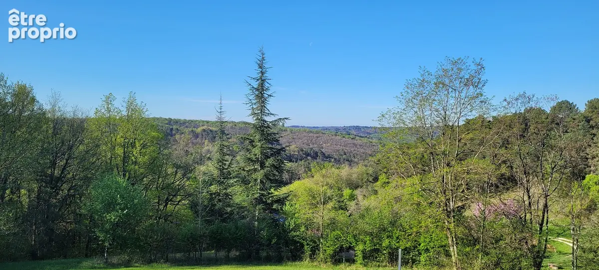 Un lieu de vie singulier, entre nature, accueil et art de vivre! secteur plazac. saint-leon/vezere - photo 2