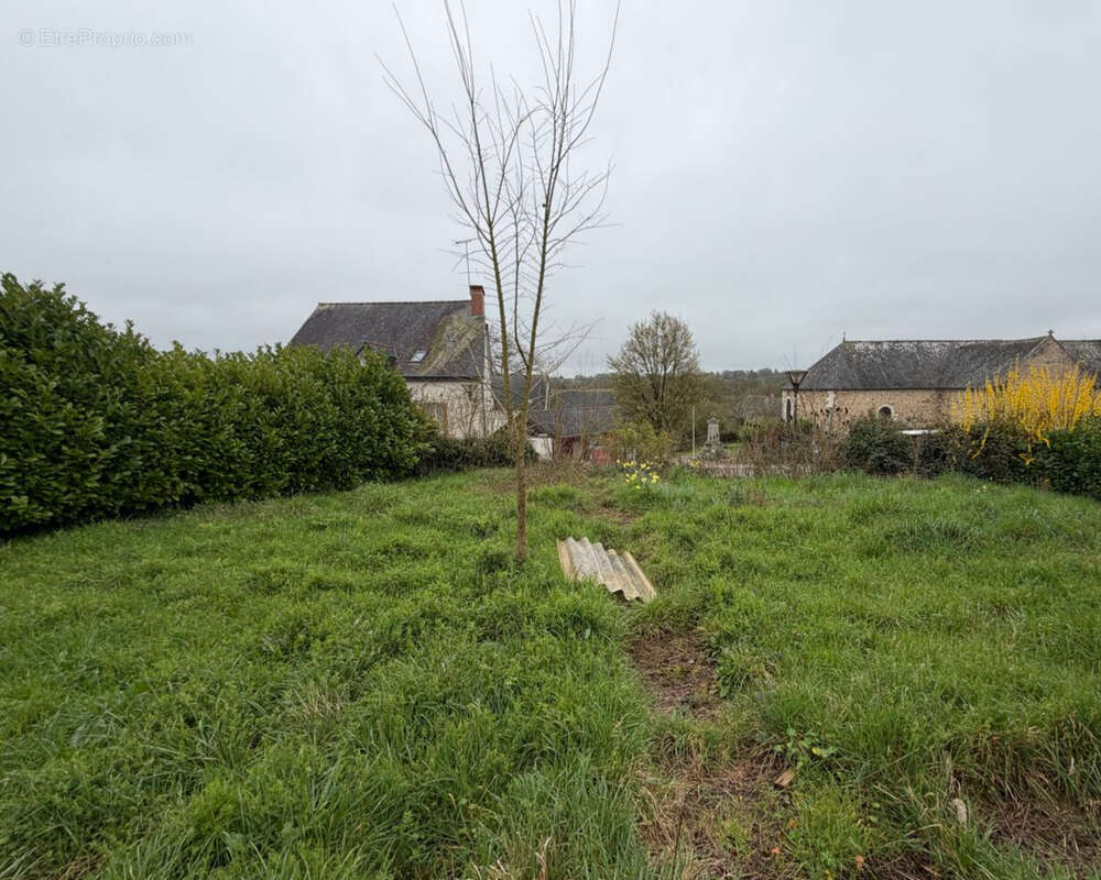 Terrain à MONTREUIL-LE-GAST