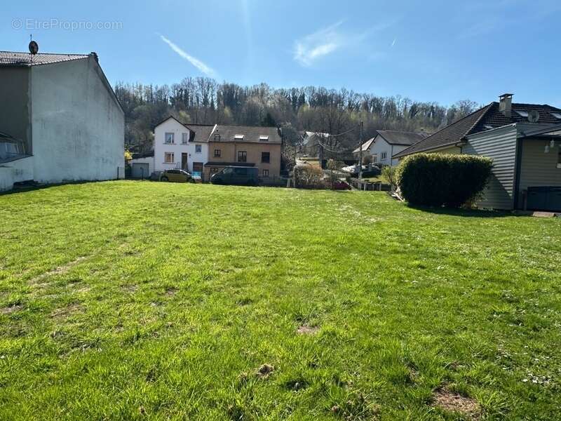 Terrain à vendre  VARSBERG (57) 7 ares 42 - photo 4