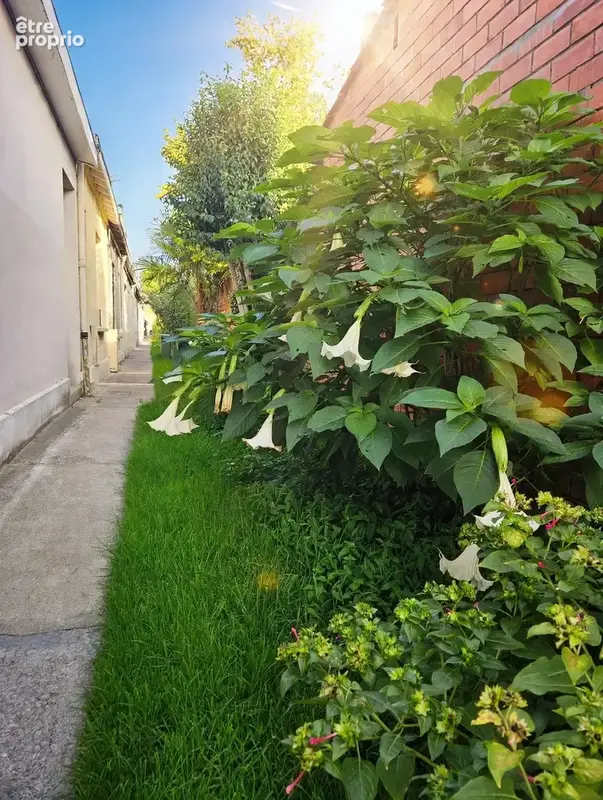 Maison 57m2 rénovée avec terrasse - photo 10