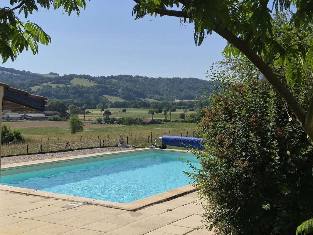 pool view - Maison à BONREPOS