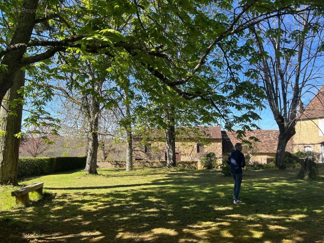 IMG_8384 2.jpeg - Maison à SAINT-AVIT-SENIEUR