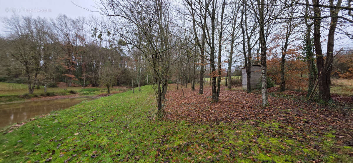 Terrain à TOURNON-SAINT-PIERRE