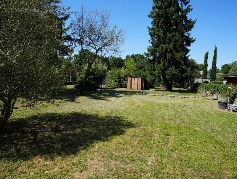 Maison à SAINTE-LIVRADE-SUR-LOT