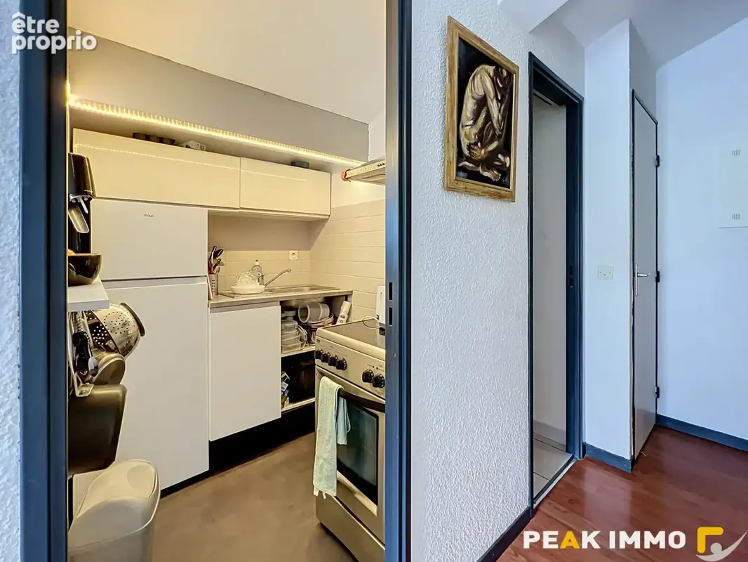Appartement Studio coin nuit 27,35m2 utiles Sallanches - photo 4