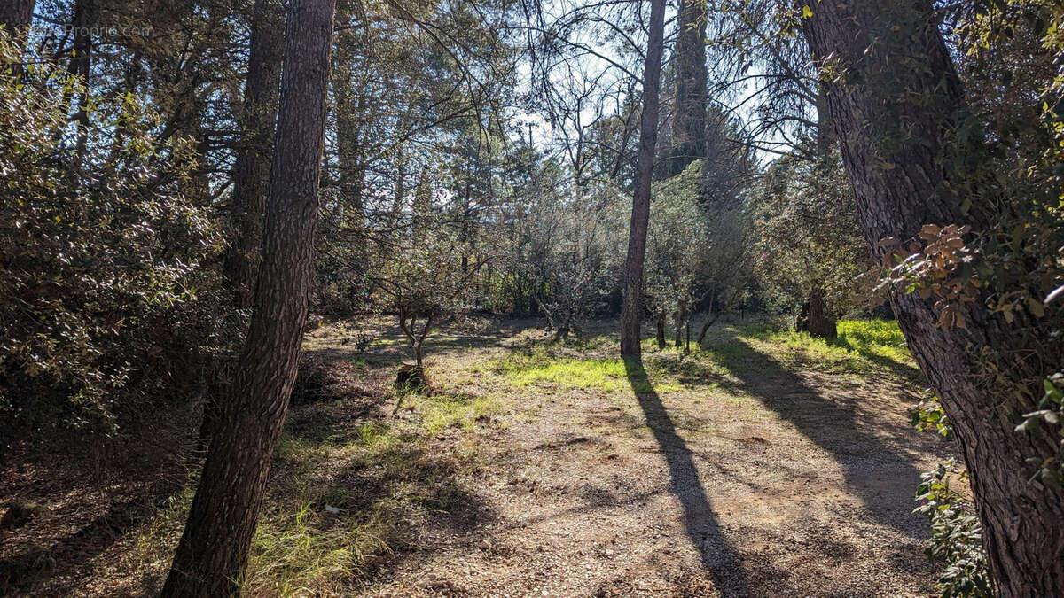 Terrain à LORGUES
