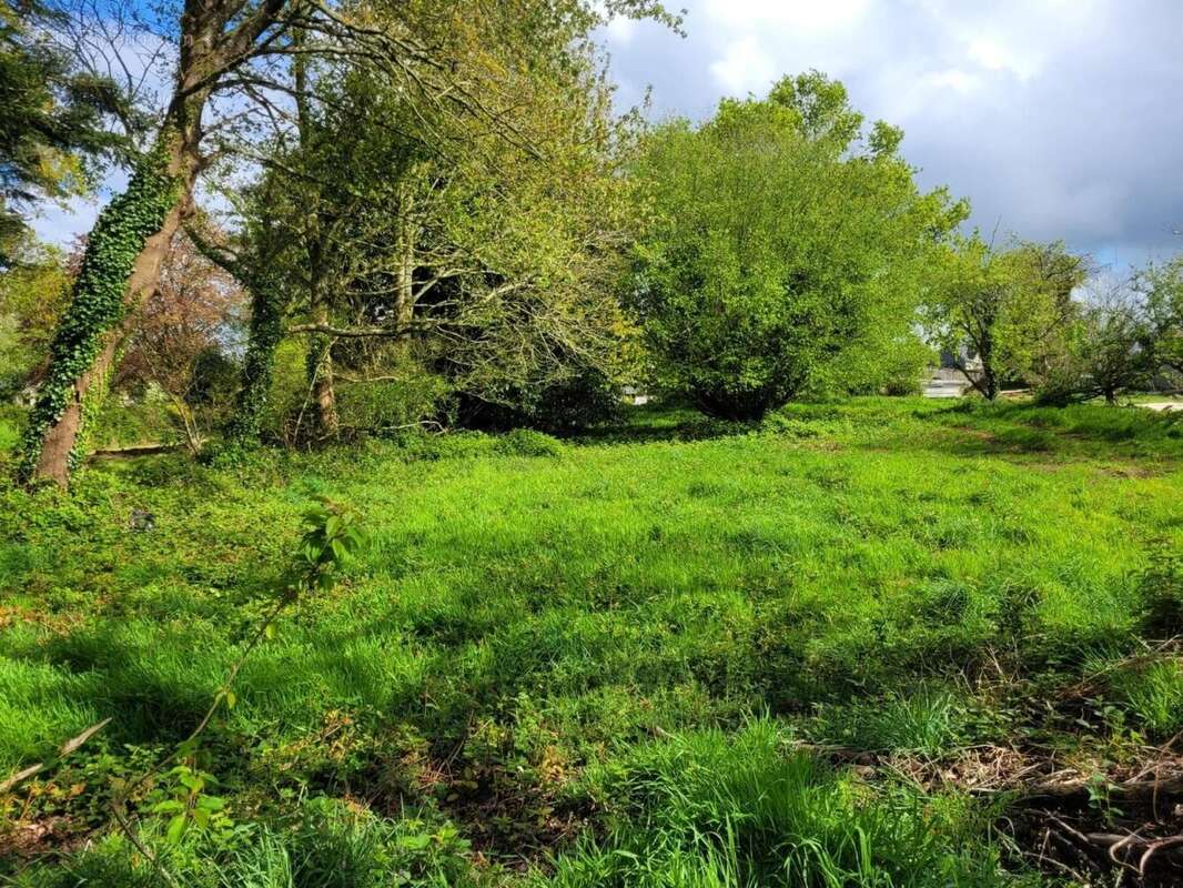 Terrain 1250 m² à Radenac  - photo 3