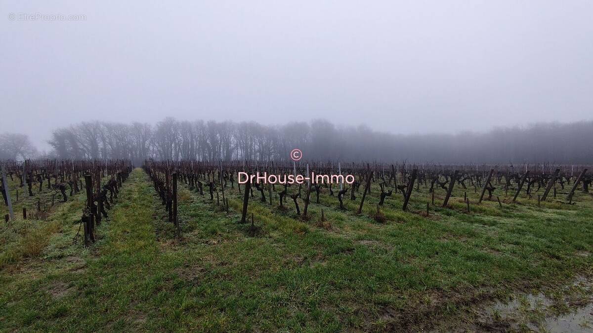 Terrain à SAINT-SULPICE-DE-FALEYRENS