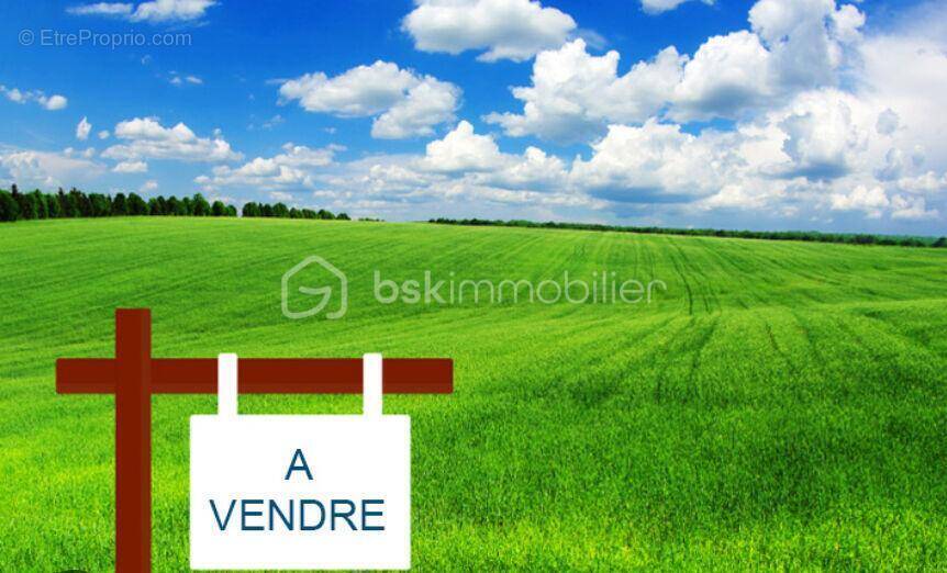 Terrain à MAZIERES-EN-GATINE