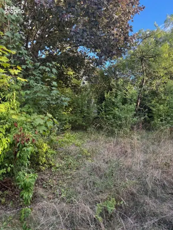 Maison T5 - Bétheniville 51490 - photo 17